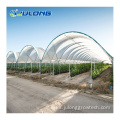 Sistemas hidropónicos agrícolas Multi-span Film Greenhouse